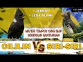 Lagu MASTERAN CILILIN VS SIRI-SIRI JERNIH ,MASTERAN MEWAH BURUNG AUTO JUARA