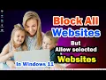 How to Block All Websites Except one in Windows 11 Allow Selected Websites Only