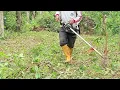 Download Lagu #mesinrumput #stihl  #kebun #kebunkaret  Land Clearing - Hevea braziliensis #land