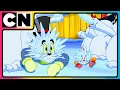 Download Lagu Tom and Jerry 😺🐭| The Great Quacker Hunt! | Compilation | Cat and Mouse | @cnindia