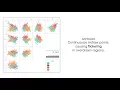 Using Animation to Alleviate Overdraw in Multiclass Scatterplot Matrices