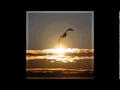 Download Lagu Keith Moore - Healing in His wings