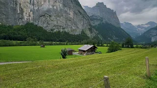 من بين كل النساء اخترتك دندنها