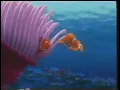 Download Lagu Finding Nemo (2003) New Parents (VHS Capture) (English)