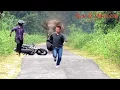 Run meme compilation 2018 animals version