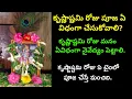 Lagu Krishnastami pooja vidhanam | sri krishna janmashtami pooja in telugu | జన్మాష్టమి నైవేద్యం