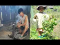 Download Lagu Little Anh went to see the vegetables her father planted and picked some pig whiskers.