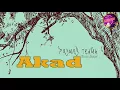 DJ Payung Teduh - Akad (Remix) Best Shuffle Dance Music