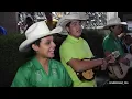 El Trio Eco Potosino toca El Querreque desde la calle del huapango en SLP