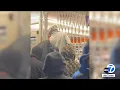 Mob of looters ransack AutoZone in South LA shows