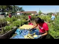 Rutgers Students Make a Difference during Scarlet Day of Service
