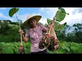 Download Lagu Steamed yam cakes and traditional delicacies ｜Guangxi Grandma
