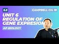 AP Biology Unit 6 Gene Regulation in 10 minutes Chapter 18 of Campbell