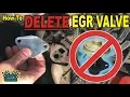How To Delete EGR Valve Andy s Garage Episode - 159