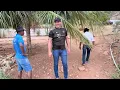 Download Lagu CHARLLES, TÕE E TIRINGA ALIMENTANDO OS PEIXES | CHÁCARA COMÉDIA SELVAGEM