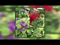 AFRICAN VIOLET | Secrets for successful cultivation
