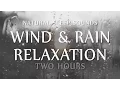 Download Lagu Wind and Rain Relaxation Two  Hours Natural Sleep Sounds (White Noise for Sleep, Study, Meditation)