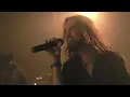 Birds Off Paradise - Old Fashioned (Official Video)
