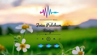joice palakum sinipu