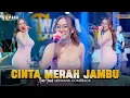 Download Lagu CINTA MERAH JAMBU ( Cinta Lahir Batin ) - YUNI YUNEL OM NIRWANA COMEBACK