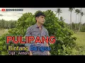 Download Lagu Lagu lampung terbaru PULIPANG Voc. Bintang Bungsu || cipt. Antoni