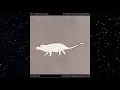 550 Million Years in 40 Seconds