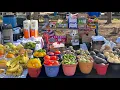 Walk Through Raleigh Flea Market NC Real Sounds Weekend Crowd