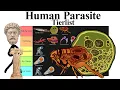 Lagu Human Parasite Tierlist