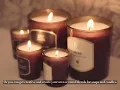 EUQEE 118ML Plant Essential Oils For Diffuser Palo Santo Cardamo