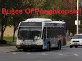 NeoplanDude S5EP43 Buses Of Poughkeepsie Dutchess County LOOP