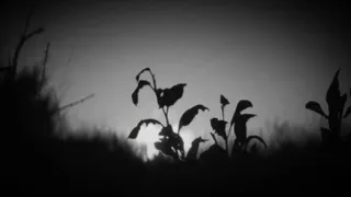 انشودة وتنهالو كلو همومي علي الوصف غوالي مهم اشتركو و الكل يزت تعليق مشان ازوركن 