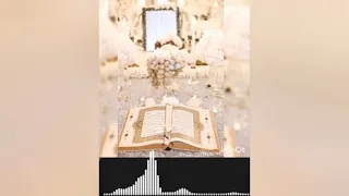 اية الكرسي بتلاوة خاشعة بصوت القارئ مولانا كورتش Mevlan Kurtishi 