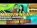 Download Lagu Madiun Ngawi KOPLO [Karaoke Duet] Arlida Putri Feat Brodin