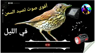 أقوى صوت لصيد السمن في الليل ٢٠٢٢ 