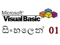 Learn Visual Basic in Sinhala 1
