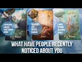 Lagu What have people recently noticed about you? - Pick a Card Tarot Reading