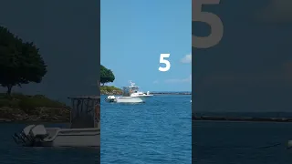 Which boat do you prefer? #sailboats #sailboat