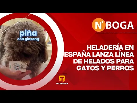 Heladería en España lanza línea de helados para gatos y perros