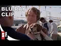 Used Cars 1980 - Clip The Car For You