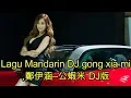 Download Lagu Lagu Mandarin DJ gong xia mi,鄭伊涵–公蝦米 DJ版