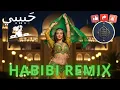 Download Lagu Arabic Music Remix 2025 🎧 | Habibi (حبيبي) Midnight Madness