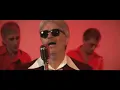 Estelares - El gato que está triste y azul (video oficial)