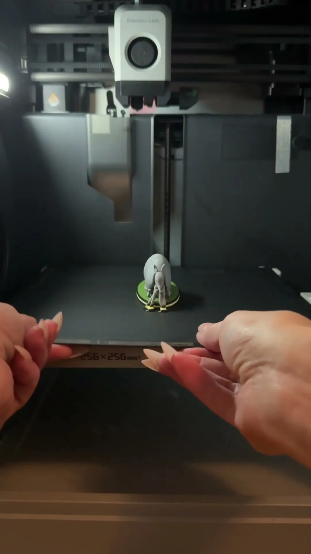 Armadillo
