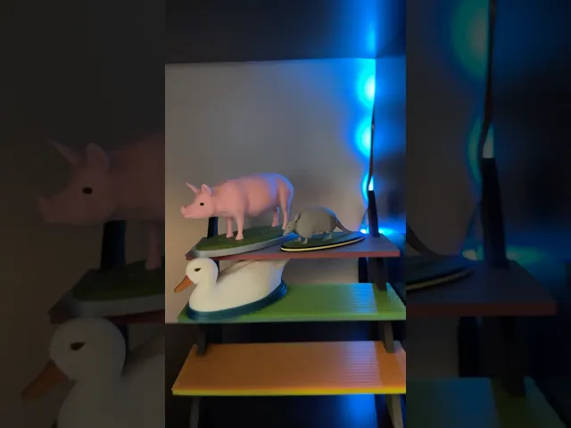 Armadillo video thumbnail