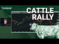 What to do About This Cattle Rally