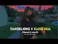 Download Lagu Dandelions X Kaise Hua | lofi mix songs | hindi song lofi | new mshup 2023 | lofi song | slowed song