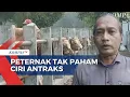 Download Lagu Wabah Merebak, Peternak di Pasar Hewan Siyono Harjo Gunungkidul Tak Paham Ciri Antraks