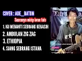 Download Lagu suaranya mirip Iwan fals | ambulance zig zag - siang sebrang istana - Ethopia - cover Ade baton