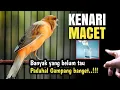 Download Lagu Begini cara sembuhkan KENARI MACET‼️