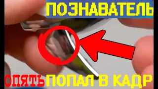 ПОЗНАВАТЕЛЬ снова ПОПАЛ В КАДР!  ЖЕЛЕЙНЫЙ МЕДВЕДЬ ВАЛЕРА четко показал ЛИЦО ПОЗНАВАТЕЛЯ!